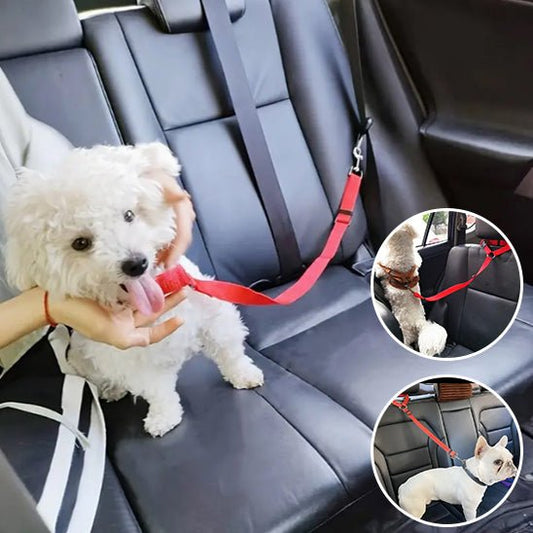 Laisse chien - ceinture de sécurité pour voiture - ECO HARMONIE CANIN