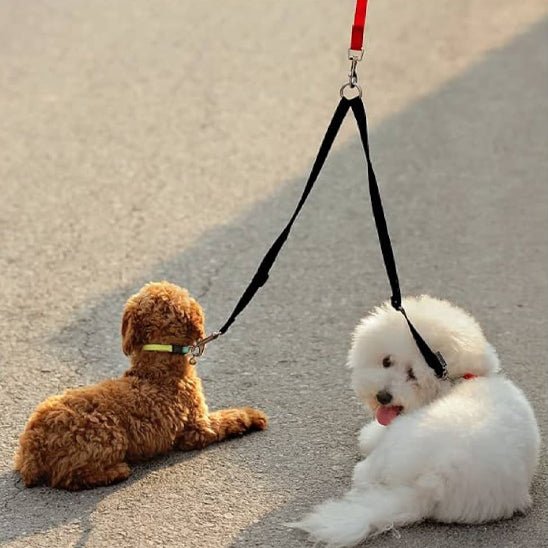 Laisse double pour chien | Coupleur - ECO HARMONIE CANIN