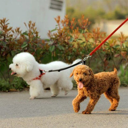 Laisse double pour chien | Coupleur - ECO HARMONIE CANIN