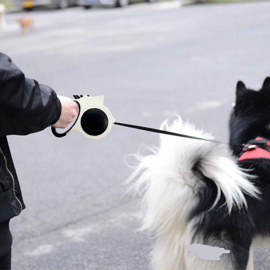 Laisse pour chien |Éclairée - ECO HARMONIE CANIN