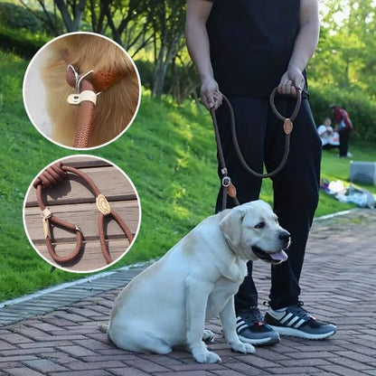Laisse pour chien - lasso - ECO HARMONIE CANIN