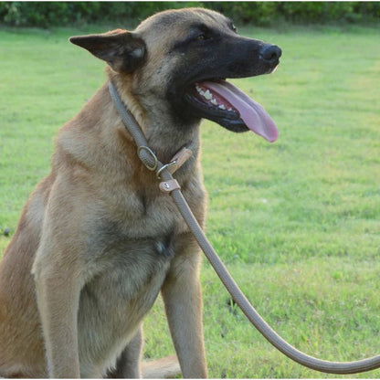 Laisse pour chien - lasso - ECO HARMONIE CANIN