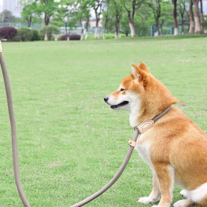 Laisse pour chien - lasso - ECO HARMONIE CANIN