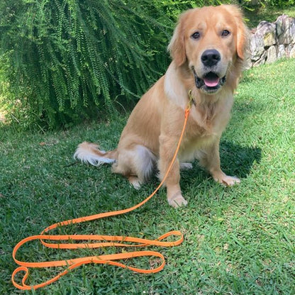 Laisse pour chien / Longue - ECO HARMONIE CANIN