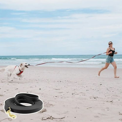 Laisse pour chien / Longue - ECO HARMONIE CANIN