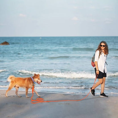 Laisse pour chien / Longue - ECO HARMONIE CANIN