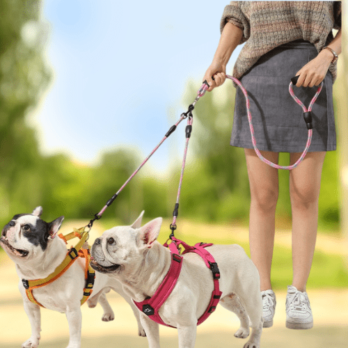 Laisses pour chien| DualWalk - ECO HARMONIE CANIN
