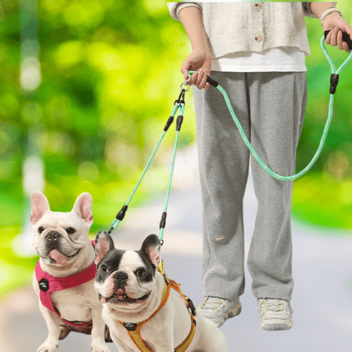 Laisses pour chien| DualWalk - ECO HARMONIE CANIN