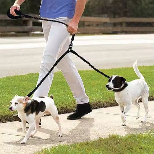 Laisses pour chien | Double - ECO HARMONIE CANIN