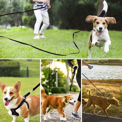 Longe chien |d'entraînement - ECO HARMONIE CANIN