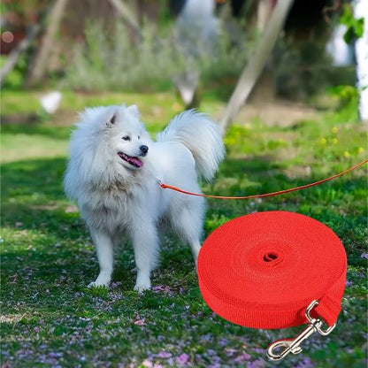 Longe chien |d'entraînement - ECO HARMONIE CANIN