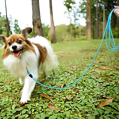Longe chiens | Robuste - ECO HARMONIE CANIN