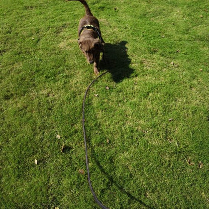 Longe chiens | Robuste - ECO HARMONIE CANIN