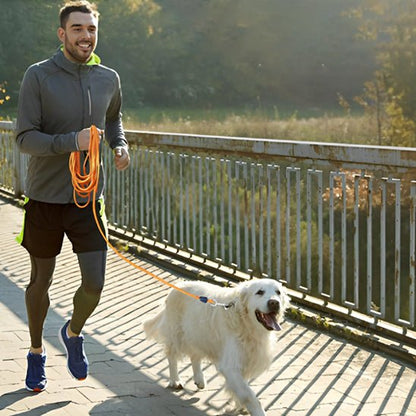 Longe chiens | Robuste - ECO HARMONIE CANIN
