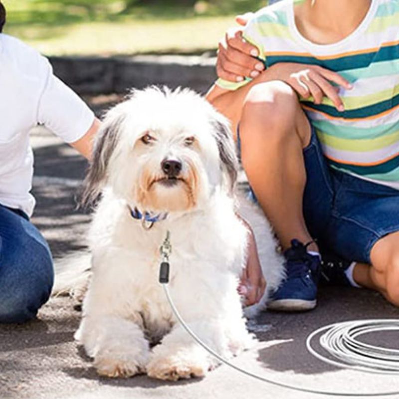 Longe pour chien | câble d'attache anti évasion - ECO HARMONIE CANIN