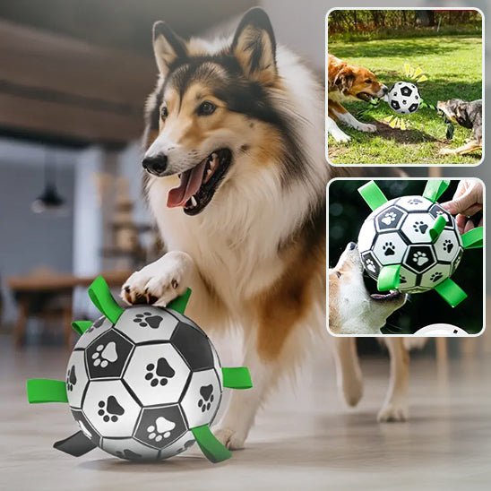 FunnyBall ™ | Ballon de football pour chiens - ECO HARMONIE CANIN