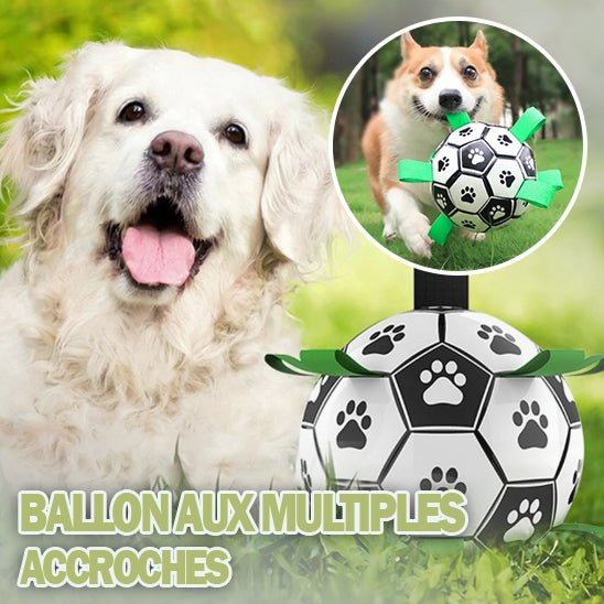 FunnyBall ™ | Ballon de football pour chiens - ECO HARMONIE CANIN