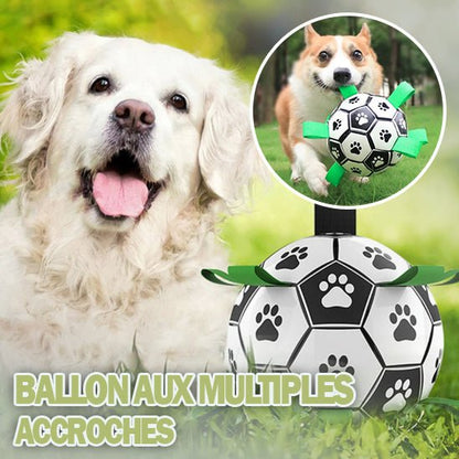 FunnyBall ™ | Ballon de football pour chiens - ECO HARMONIE CANIN