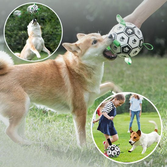 FunnyBall ™ | Ballon de football pour chiens - ECO HARMONIE CANIN