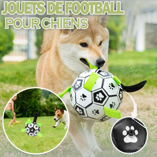 FunnyBall ™ | Ballon de football pour chiens - ECO HARMONIE CANIN