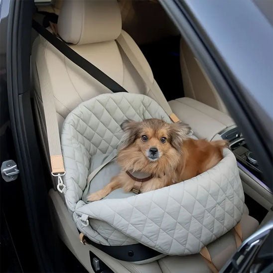 Sac a dos chien | multifonction - ECO HARMONIE CANIN