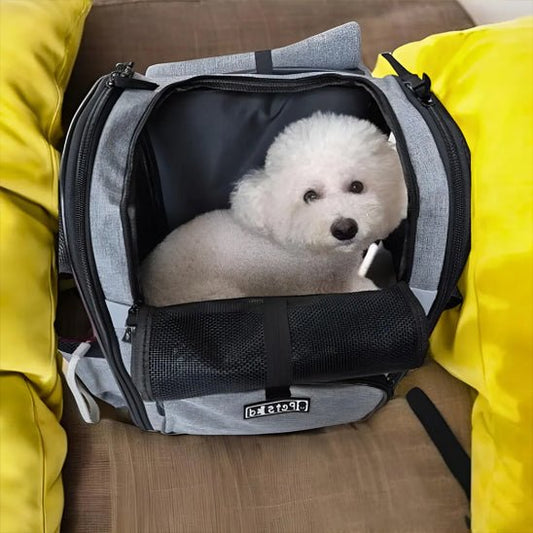 Sac de transport chien | Panoramique - ECO HARMONIE CANIN