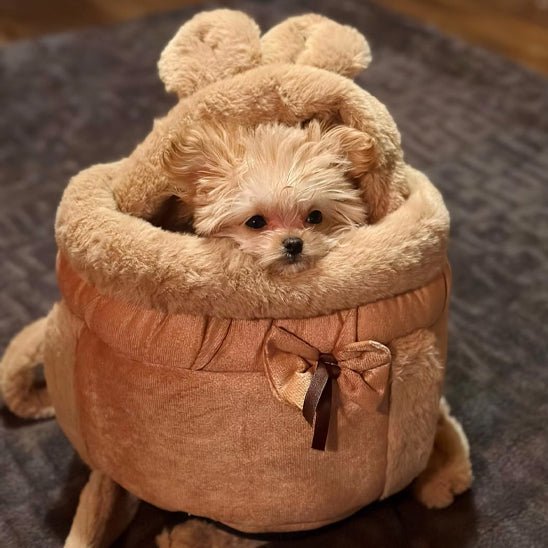 Sac pour chien | Cocon - ECO HARMONIE CANIN