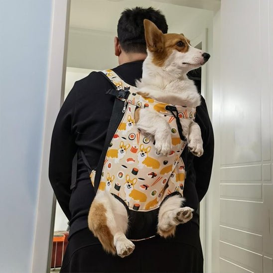 Sac pour chien | Mains Libres - ECO HARMONIE CANIN