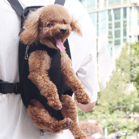 Sac pour chien | Mains Libres - ECO HARMONIE CANIN